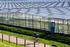 Evaluatie energiebelasting-tarief glastuinbouw