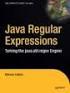 Regular Expressions in Java (1)