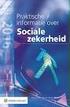 Boek 2013 over de Sociale Zekerheid