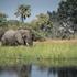 Migratie en Meren van de Grote Rift Nakuru, Masai Mara en Naivasha (10 dagen, 9 nachten)