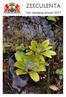 ZEECULENTA. 26e Jaargang januari 2017