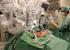 Robot geassisteerde laparoscopische radicale prostatectomie (RALP) VUmc