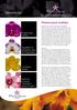 Nieuwsbrief. Phalaenopsis teelttips. Phalaenopsis. 4 teelttips. Vegetatieve en generatieve groei. Cymbidium. Jaarrondproductie.