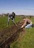 Streekeigen beplanting in het buitengebied van Nijkerk. Kiezen voor een fraaie omgeving