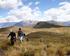 Zuid-Peru * Andes-condors in de Colca Canyon, 3 dagen, minirondreis vanuit hostals, internationale groep