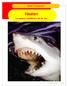 Sticker-Fantastisch Haaien en andere roofdieren uit de zee