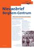 Nieuwsbrief. Berghem-Centrum. Plannen Berghem-Centrum vorderen; dorpsraad, ondernemersvereniging en gemeente aan het woord