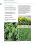 landbouw en natuurlijke omgeving 2011 plantenteelt open teelten CSPE KB minitoets bij opdracht 16
