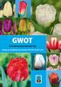 GWOT. Gebruikswaardeonderzoek tulp