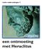 reeks ontmoetingen 2 een ontmoeting met Heraclitus