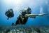 Advanced Open Water Diver. Onderwater Navigatie