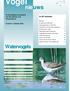 nieuws Watervogels In dit nummer Ornithologische nieuwsbrief van het Instituut voor Natuurbehoud Nummer 4 oktober 2002
