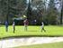 Uitbreiding sportpark Den Dries met 9 holes golfbaan