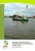 Opvolging van het visbestand van de Zeeschelde: resultaten voor 2011