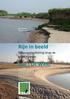 Rijn in beeld Natuurontwikkeling langs de grote rivieren