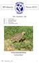 Nieuws 2015/1. WPA Benelux. Griel in natuurrlijk biotoop (Burhinus oedicnemus) Foto Marleen Blockx. WPA Nieuwsbrief