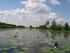 Van nature eutrofe meren met vegetatie van het type Magnopotamion of Hydrocharition (H3150) Verkorte naam: meren met krabbenscheer en fonteinkruiden