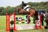 Resultaat Springconcours 4-jarige KWPN-paarden