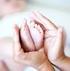 Belangrijke wijzigingen tekst Geneesmiddelen, Zwangerschap en borstvoeding mutatiedatum juni 2014