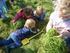 Inspectierapport 't Holthuisje, kinderdagverblijf op de boerderij (KDV) Toldijkseweg DB STEENDEREN Registratienummer