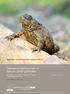 Habitatrichtlijnsoorten in Natura 2000-gebieden. Wettelijke Onderzoekstaken Natuur & Milieu
