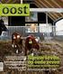 Randvoorwaarden behoud Nederlands Landvarken Van enthousiasme naar actie!