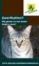 Zwerfkatten? Wij geven ze een kans! Helpt u mee?