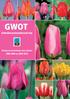 GWOT. Gebruikswaardeonderzoek tulp. Verslag van de dertiende serie cultivars