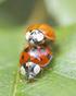 PWG-excursie naar de Broekpolder op 17 september 2014