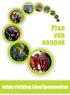 Plan van aanpak. lobby richting (deel)gemeenten