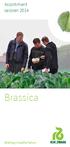 Assortiment seizoen Brassica
