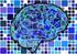 Challenges of brain imaging in psychiatry: understanding brain structure and function in schizophrenia da Silva Alves, F.