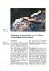 Verzorging en voortplanting van de Chinese roodkopslang (Natrix stolata)