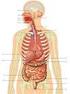 Behandeling Kanker aan een spijsverteringsorgaan (anus, darm, lever, alvleesklier, maag en slokdarm)
