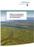Effecten van peilstrategieën op de Natura 2000 doelen in het IJsselmeergebied
