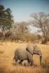 Best of Zimbabwe Luxury Adventure 14 dagen