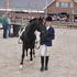 SPRINGPAARDEN WINSCHOTEN 25 JUNI 2014 DOLLARDMANEGE