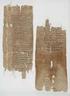 Griekse Papyri: een wereld vol beweging