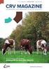 Veecommunicatie. Uitgave: najaar voor duurzame koeien. Active heeft een perfecte afstamming.