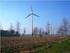 Advies betreffende de bouw van 4 windturbines in Dessel