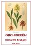Orchis sambucina ORCHIDEEËN. Kring NO-Brabant