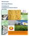 Meerjarenplan MJA Energie-Efficiency Vereniging voor Aardappelverwerkende Industrie