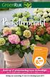 Pinksterpracht Kom op 2 e pinksterdag naar GroenRijk! Hortensia Hydrangea macrophylla. Diverse kleuren. Ø 23 cm. Per stuk Excl. sierpot.