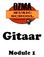 Gitaar. Module 1. Ozma Music Ware vzw