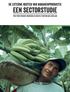 De externe kosten van bananenproductie. een sectorstudie. True Price/Trucost onderzoek en reactie Stichting Max Havelaar