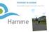 TOERISME IN HAMME. Gidsenopleiding Sigmaplan Durmevallei (1 maart 2016) 2/29/2016 Hamme powerpointpresentatie