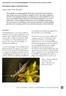 vestiging van de boomkrekel oecanthus pellucens in het rivierengebied (orthoptera)