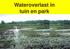 Wateroverlast in tuin en park