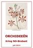Myrmecophila grandiflora ORCHIDEEËN. Kring NO-Brabant