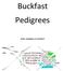 Buckfast Pedigrees. Lezen, begrijpen en schrijven